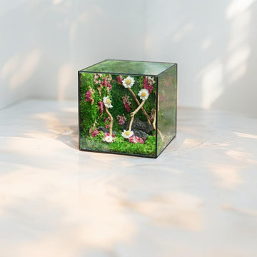 Featuring a beautifully assembled preserved moss terrarium kit, showcasing various moss types surrounded by complementary decorative accents.