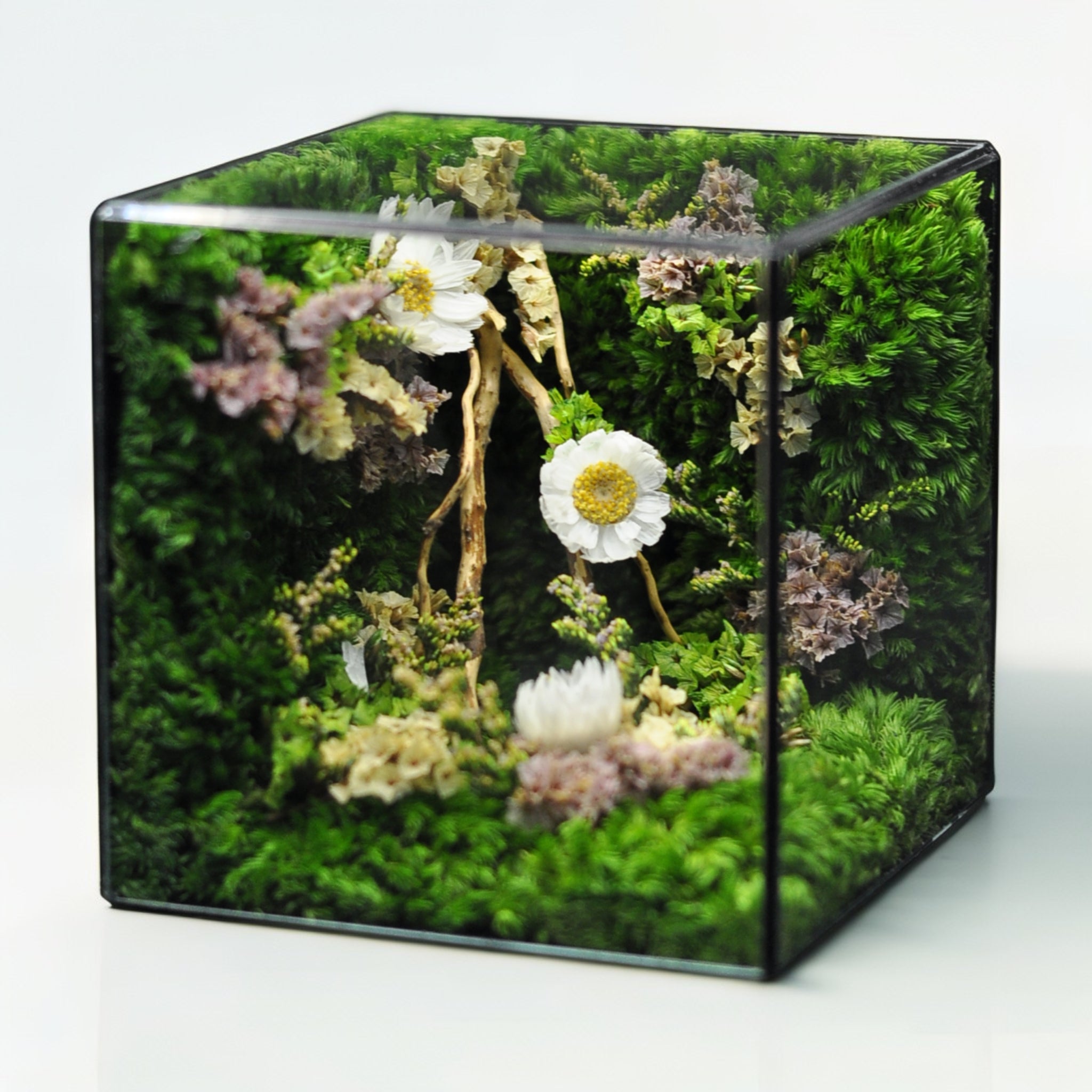 The Mophonic Eternal Garden Cube - Handcrafted Nature That Lasts Forever