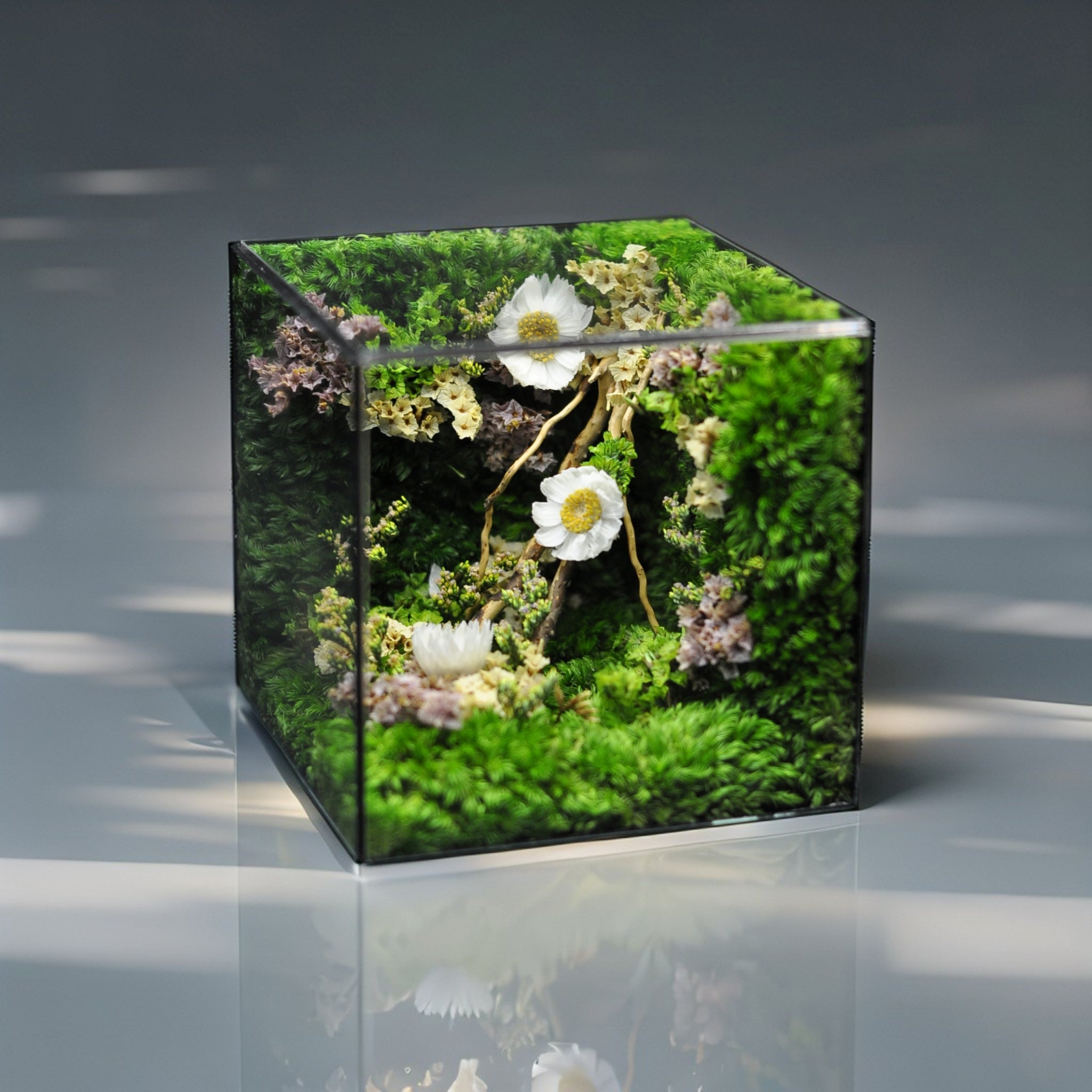 The Mophonic Eternal Garden Cube - Handcrafted Nature That Lasts Forever