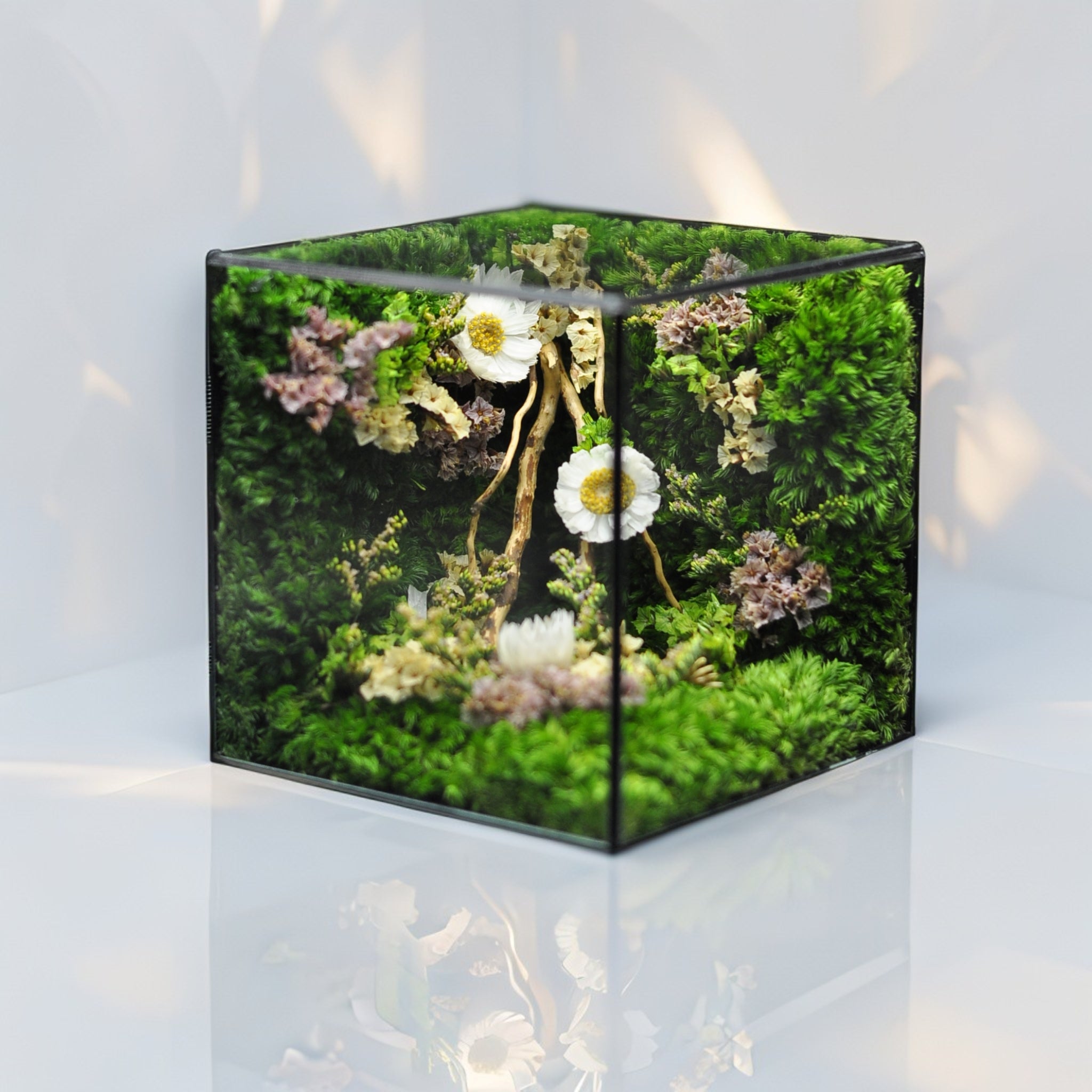 The Mophonic Eternal Garden Cube - Handcrafted Nature That Lasts Forever