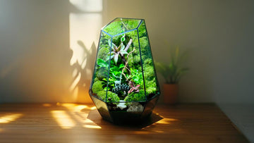 A vibrant DIY terrarium showcasing various plants like succulents and ferns, surrounded by decorative stones and figurines in a stylish home setting.