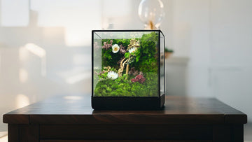 An elegant glass terrarium showcasing a lush ecosystem with ferns, mosses, and decorative pebbles, highlighting sustainable home decor ideas