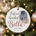 Cat in Window Personalized Pet Memorial Christmas Ornament tree