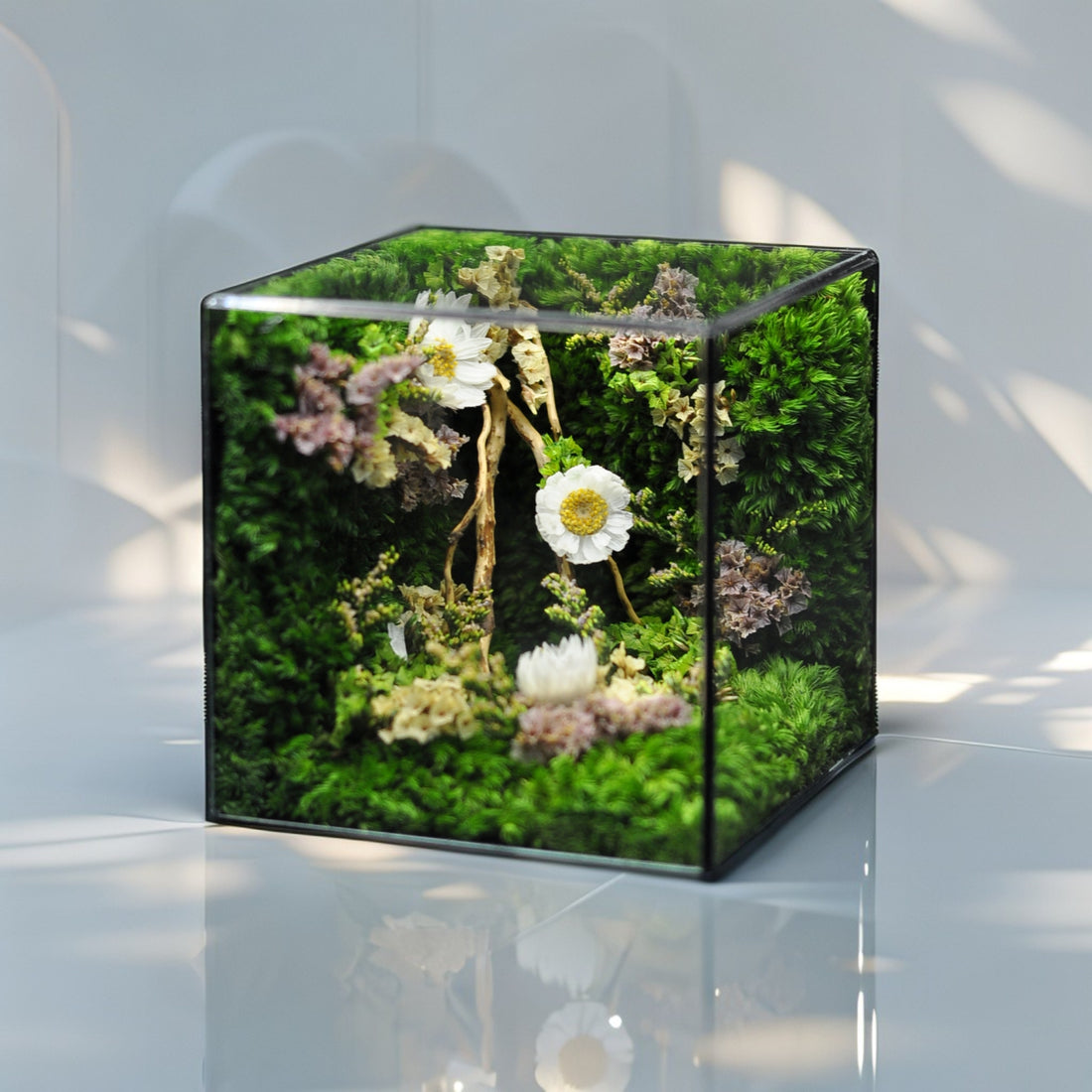 The Mophonic Eternal Garden Cube - Handcrafted Nature That Lasts Forever