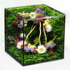 Handmade Eternal Garden Cube - Purple Twilight