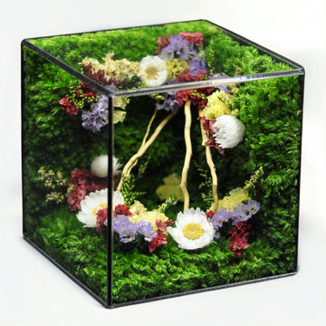 Decorative box with moss and colorful dried flowers on a white background