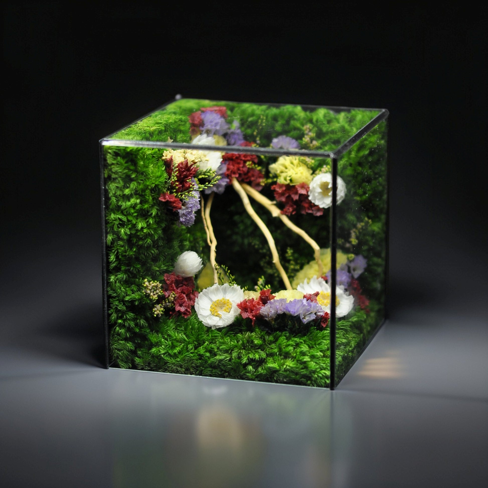 Glass cube with floral arrangement on a dark background