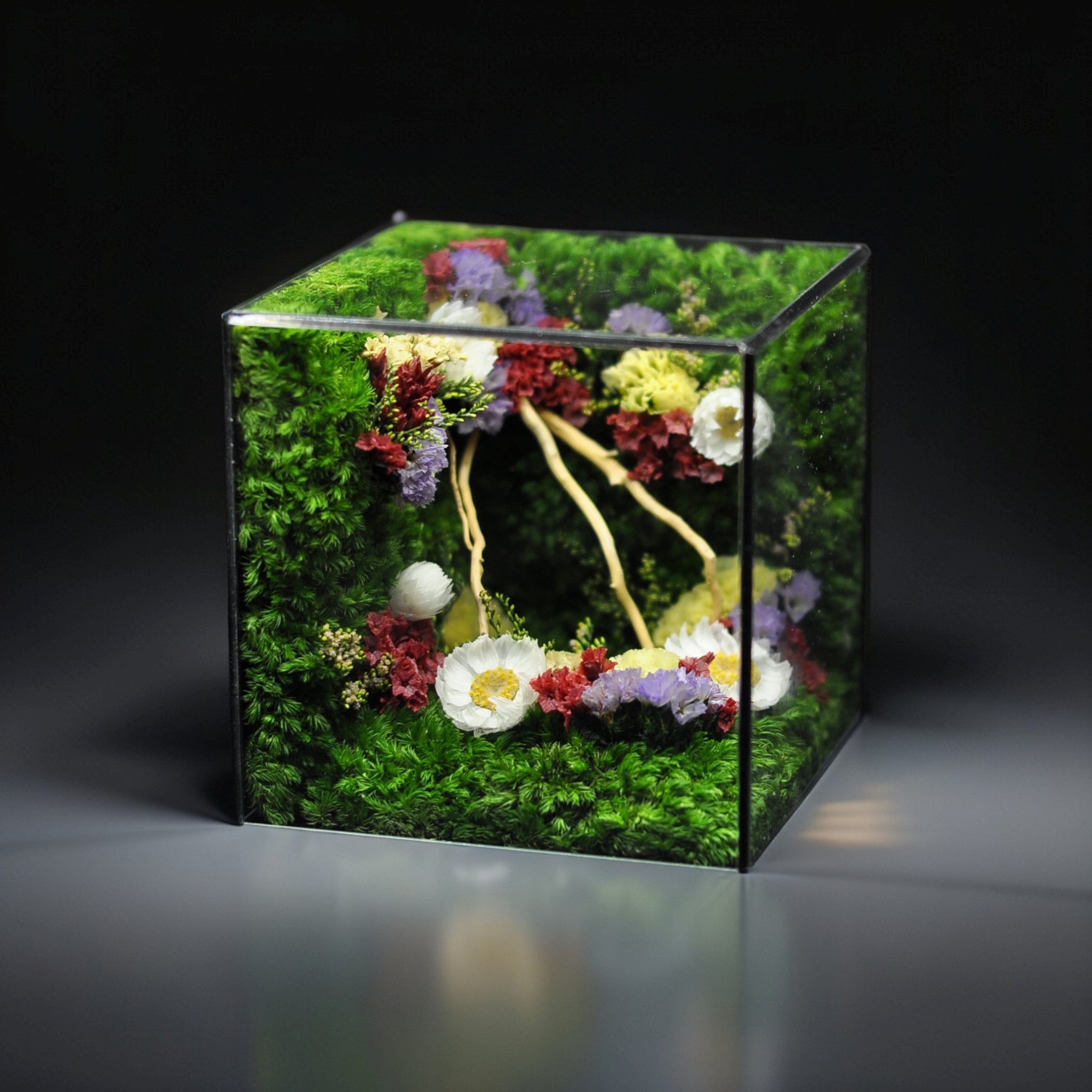 Glass cube with floral arrangement on a dark background