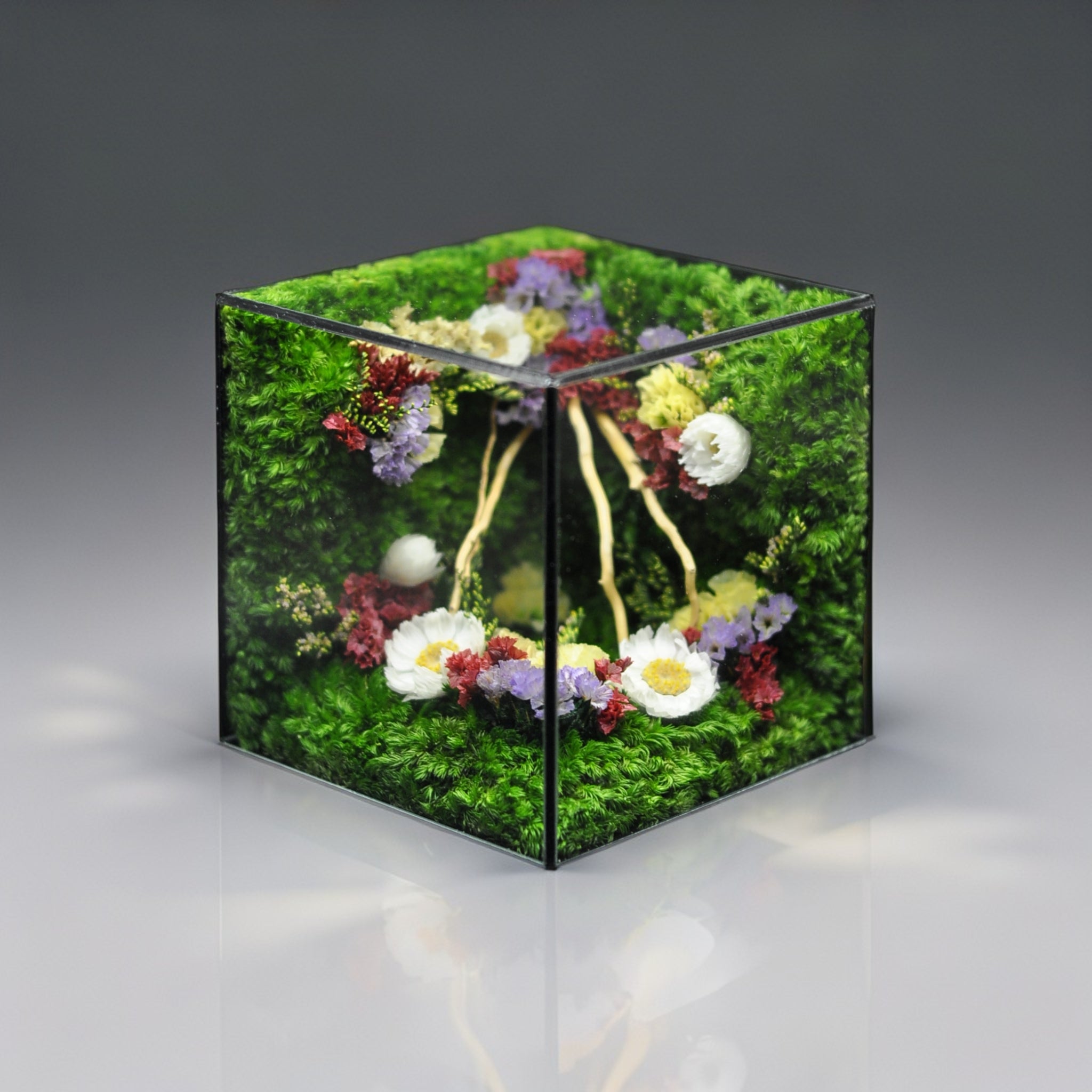 Everlasting Calm: The MophonicHome Handmade Preserved Moss & Flower Terrarium Cube