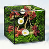 Handmade Eternal Garden Cube - Spring Meadow