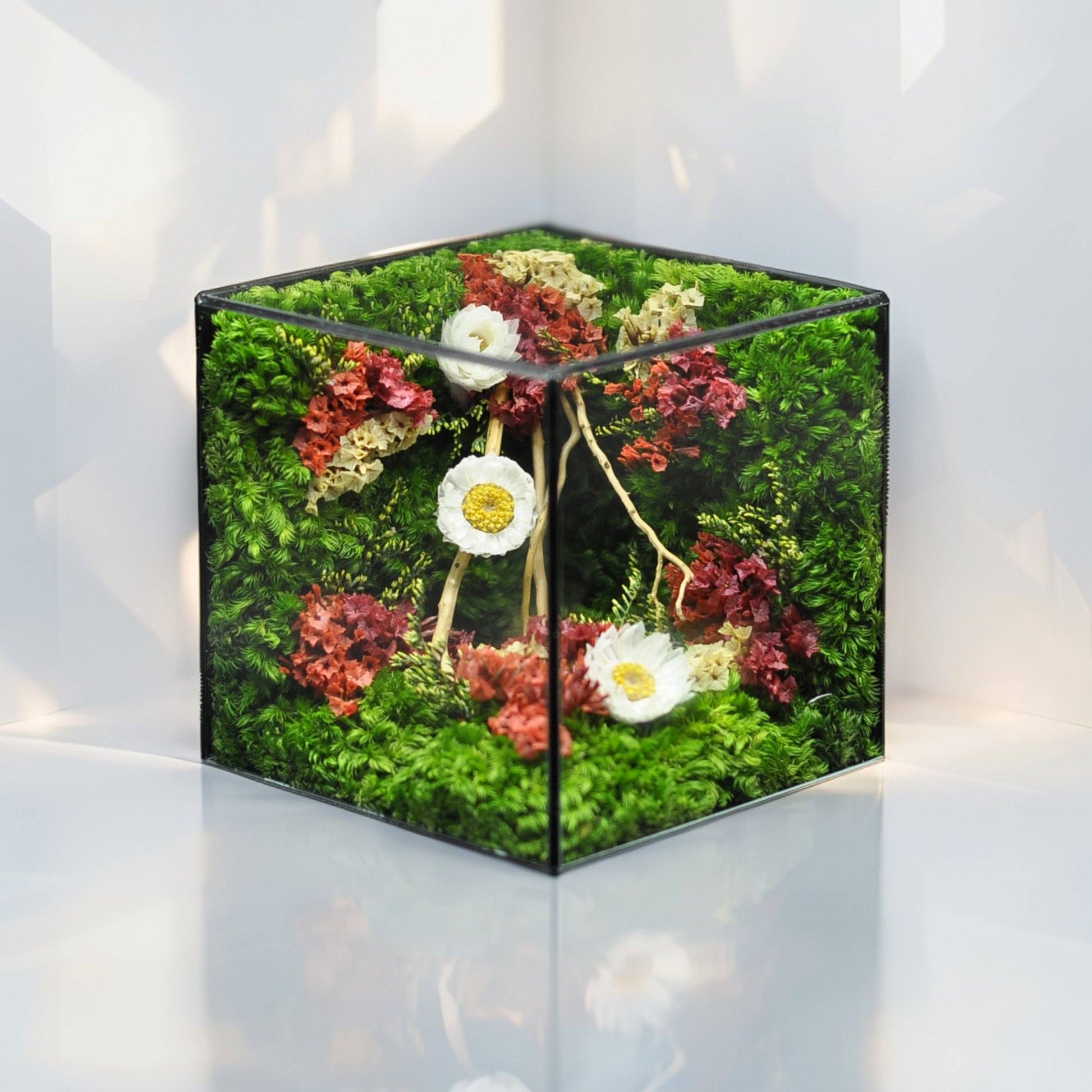 Square glass container with preserved flowers and greenery on a white background