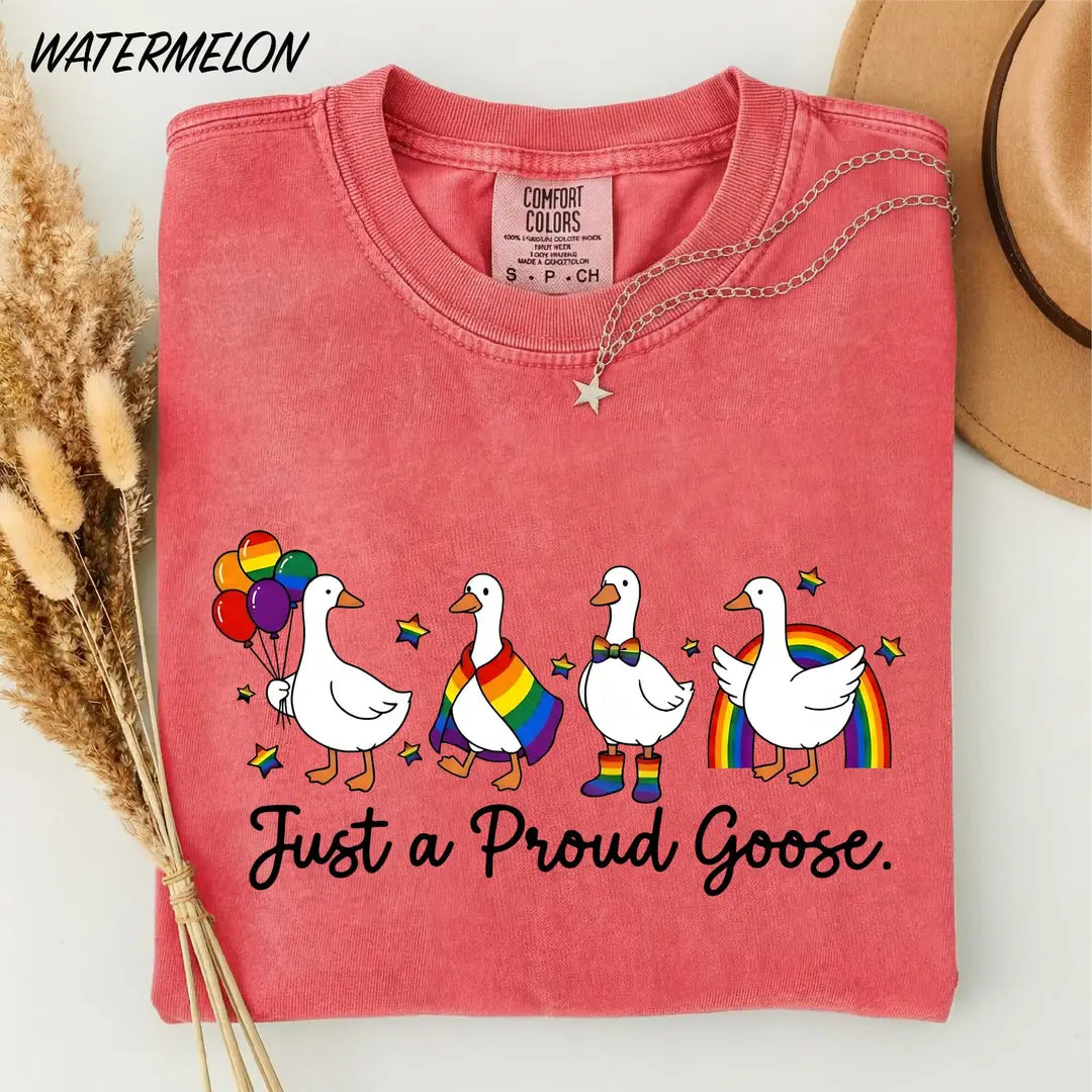 Proud Goose Rainbow graphic Comfort Colors T-shirt, additional product photograph.