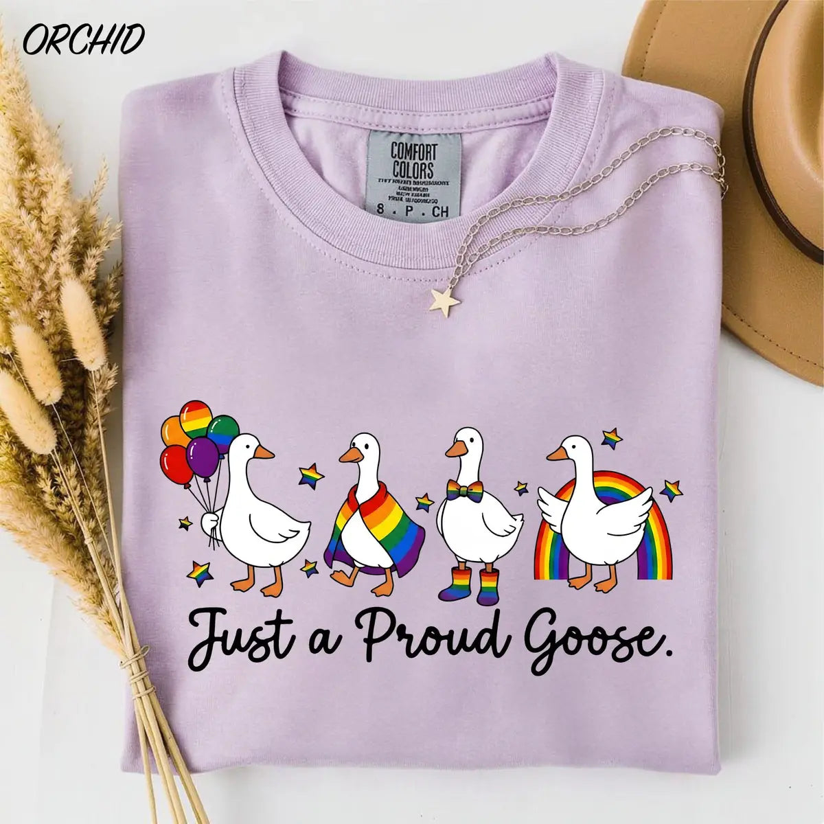 Proud Goose Rainbow graphic Comfort Colors T-shirt, additional product photograph.