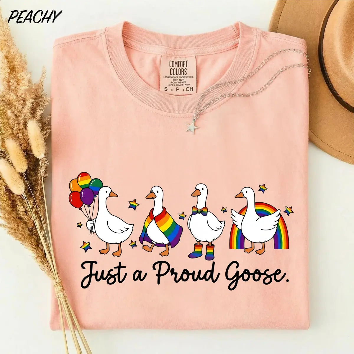 Proud Goose Rainbow graphic Comfort Colors T-shirt, additional product photograph.