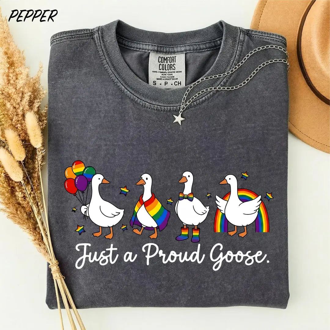 Proud Goose Rainbow graphic Comfort Colors T-shirt, additional product photograph.