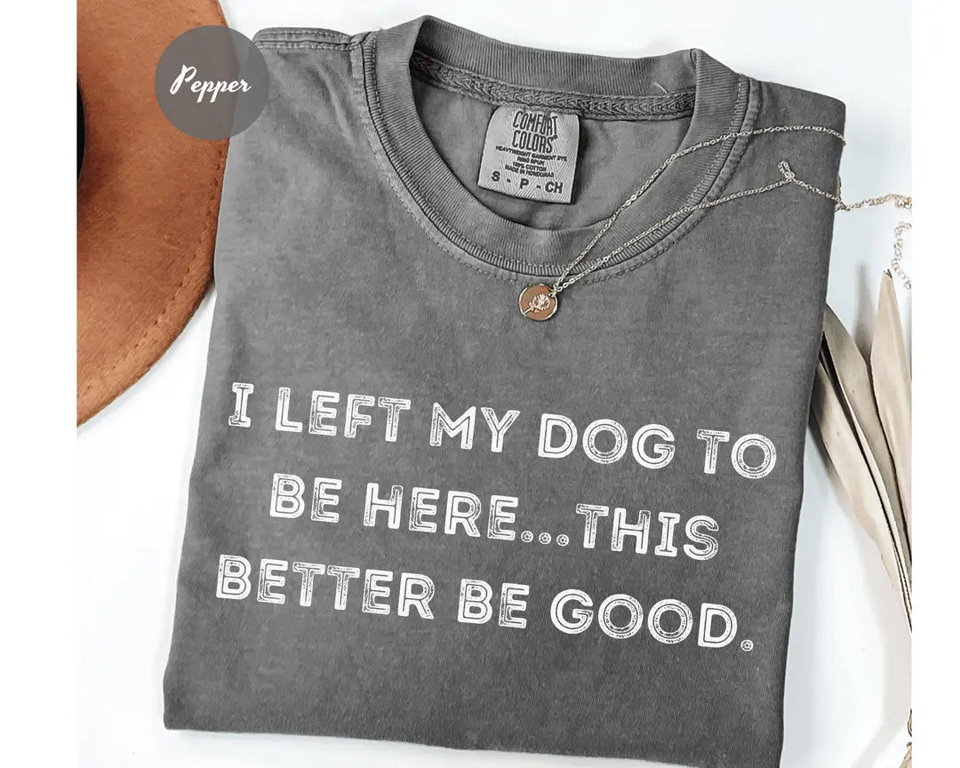 Comfort Colors 1717 T-shirt with I Left My Dog To Be Here This Better Be Good design alternate view