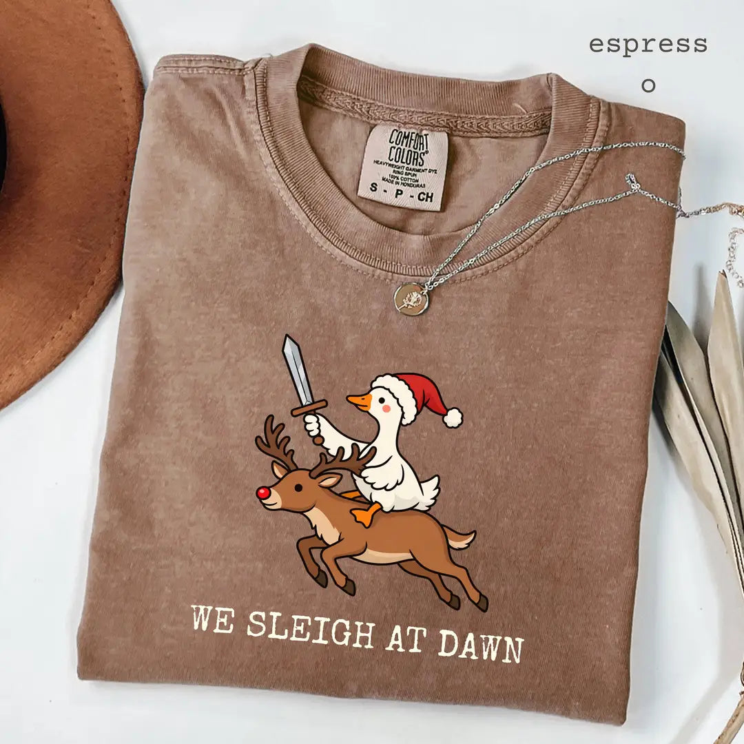 Comfort Colors 1717 T-shirt with We Sleigh at Dawn Goose design worn by a model view 5