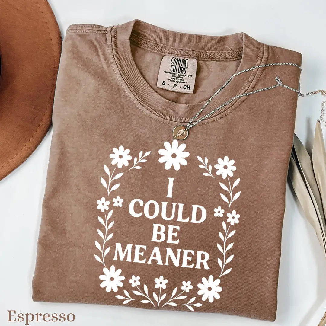 Espresso Comfort Colors 1717 T-shirt with I Could Be Meaner design, alternate product view.