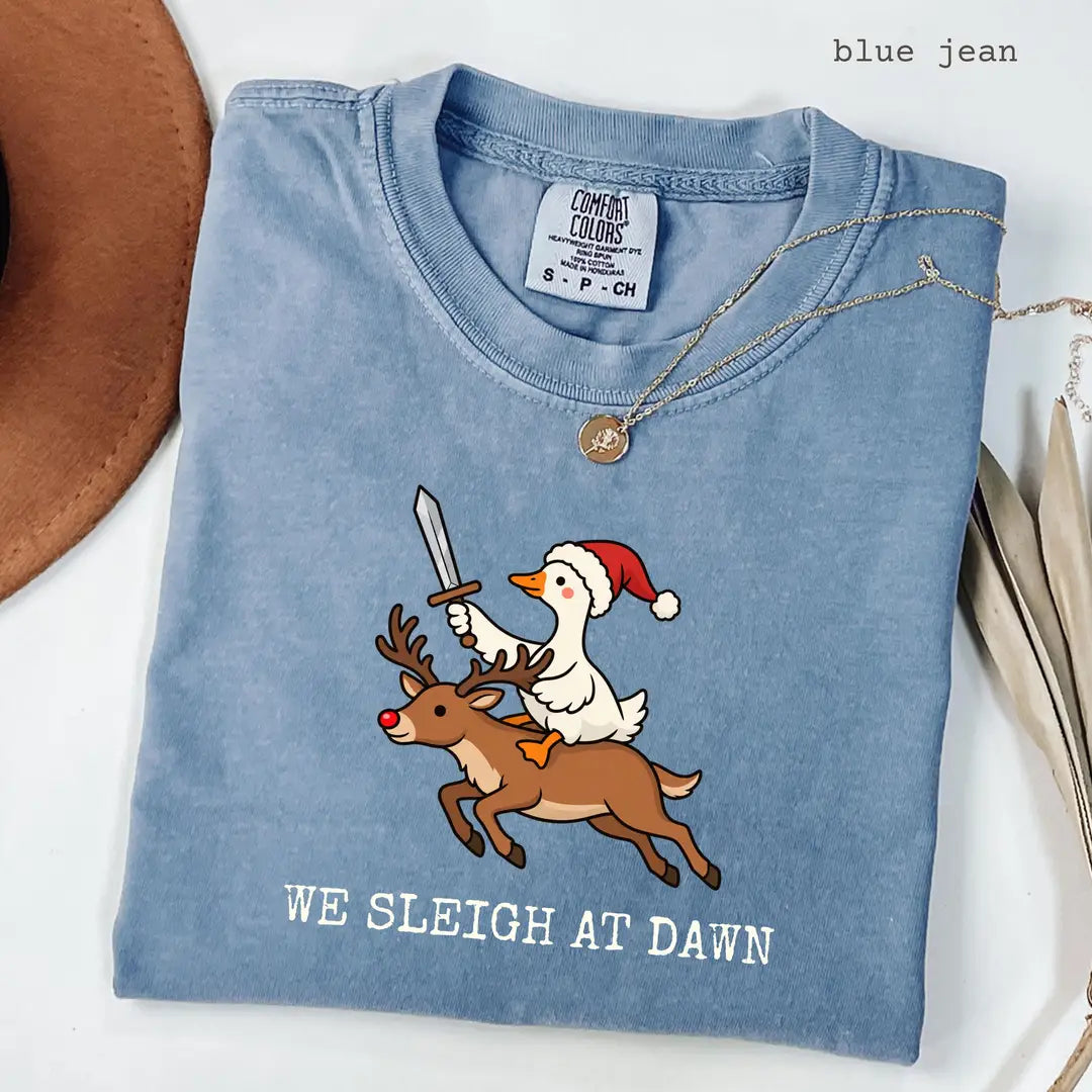 Blue Jean Comfort Colors 1717 T-shirt with We Sleigh at Dawn Goose design worn by a model