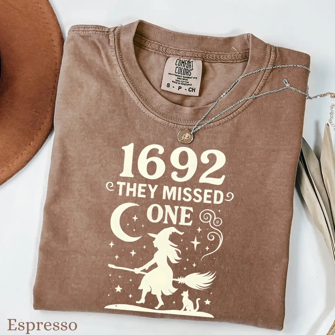Salem Witch Comfort Colors T-Shirt alternate product view in Espresso.
