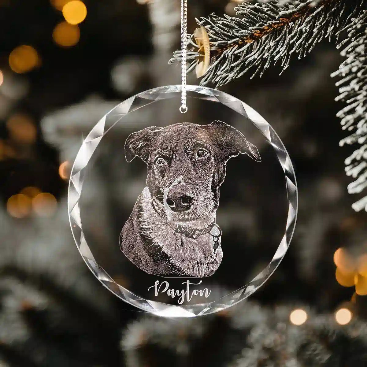 Personalized engraved crystal glass ornament featuring Pet.