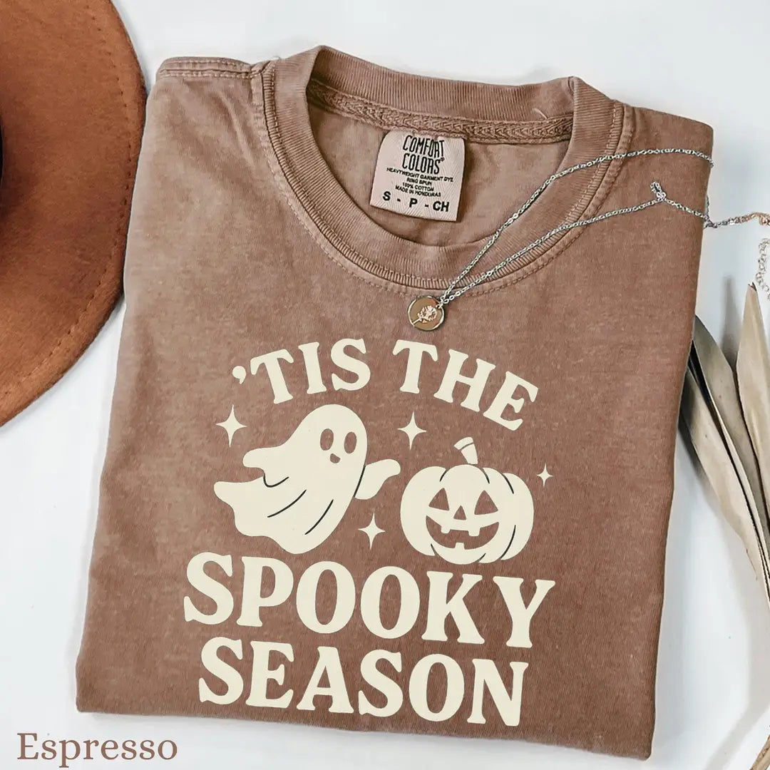 'Tis the Spooky Season - Ghost Pumpkin Comfort Colors T-Shirt alternate product view in Espresso.